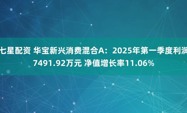 七星配资 华宝新兴消费混合A：2025年第一季度利润7491.92万元 净值增长率11.06%