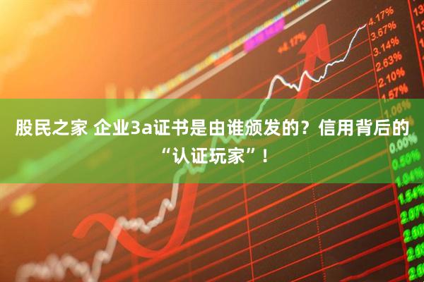 股民之家 企业3a证书是由谁颁发的？信用背后的“认证玩家”！