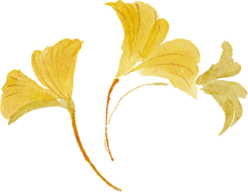 六六配资 今天，我在人大看到了爱情的模样